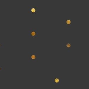 Meet your Posher, Abbie